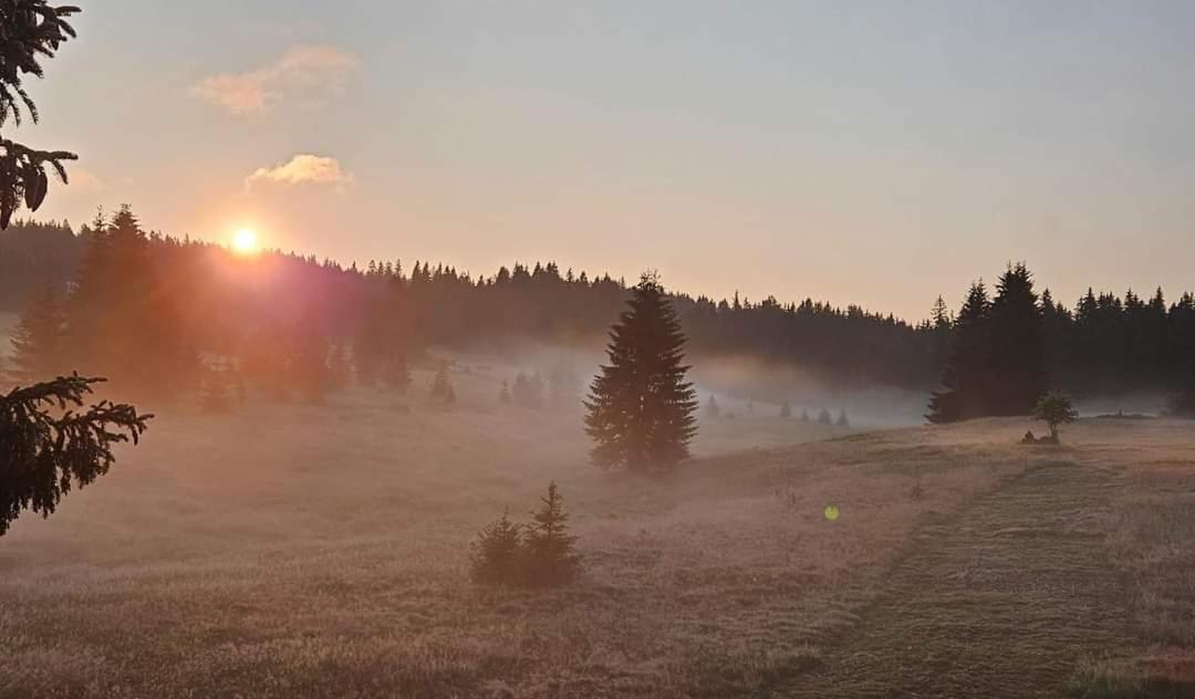 Ubytovani U Krizku Модрава Екстер'єр фото