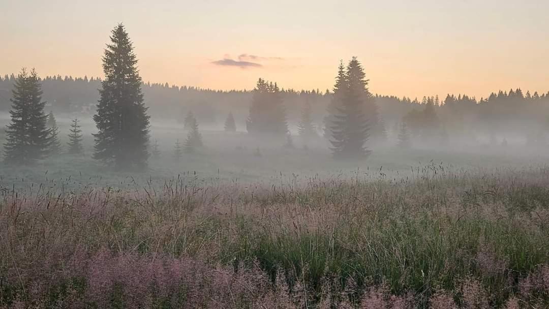 Ubytovani U Krizku Модрава Екстер'єр фото