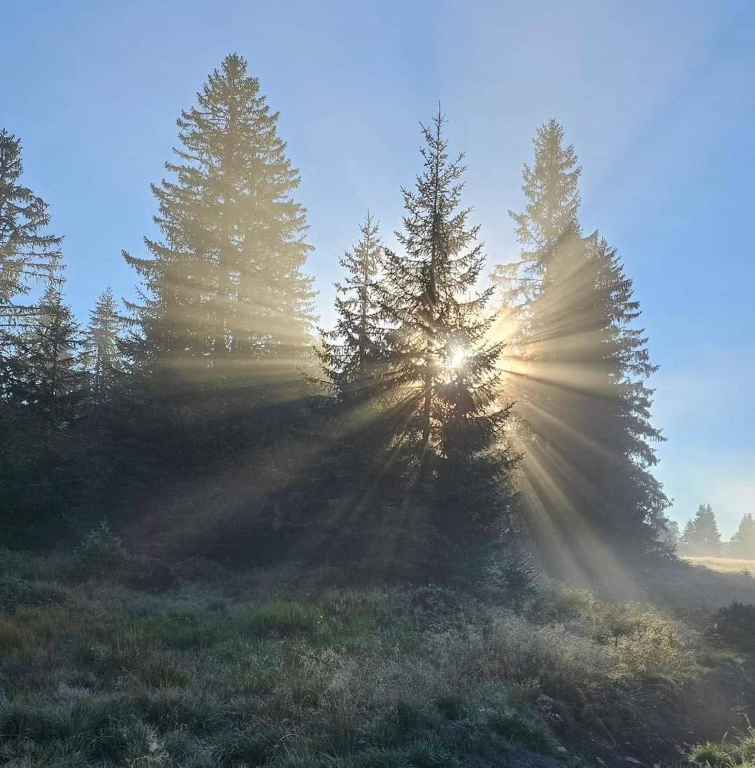 Ubytovani U Krizku Модрава Екстер'єр фото