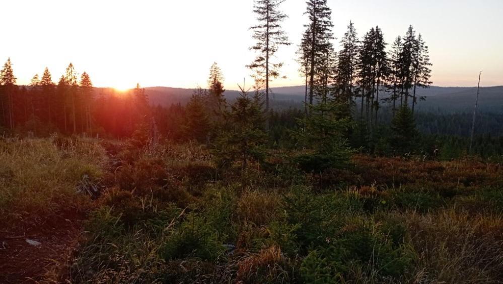 Ubytovani U Krizku Модрава Екстер'єр фото